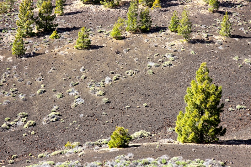 Photographer:
Juergen Stamms