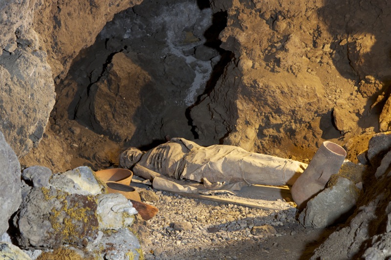 Photographer:
Juergen Stamms