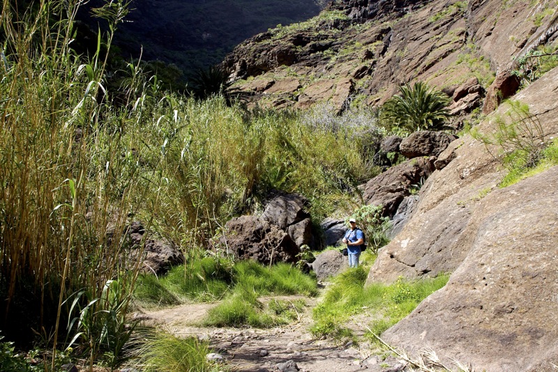 Photographer:
Juergen Stamms