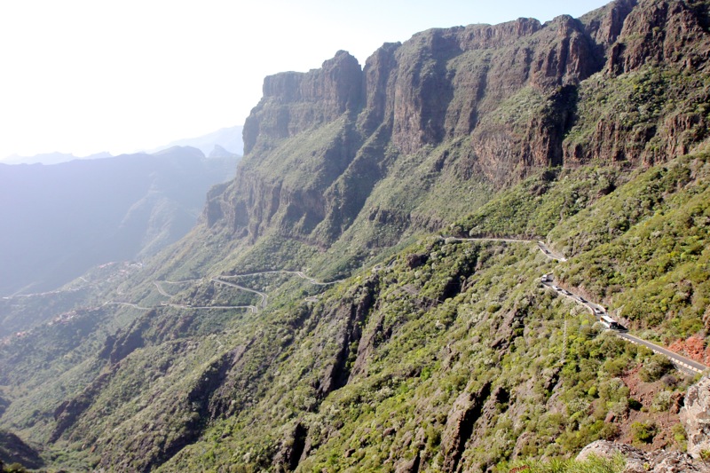 Photographer:
Juergen Stamms