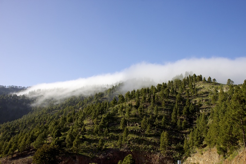 Photographer:
Juergen Stamms