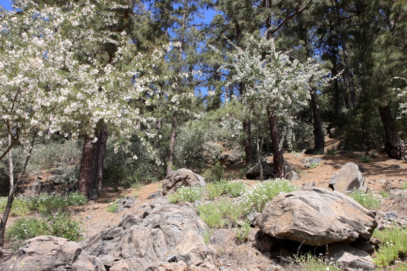 Photographer:
Juergen Stamms