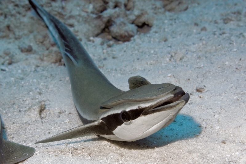 Photographer:Juergen Stamms