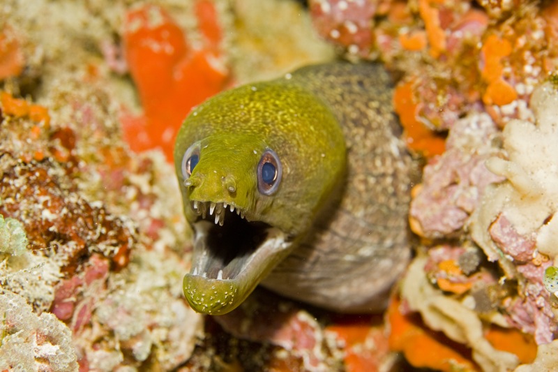 Photographer:
Juergen Stamms