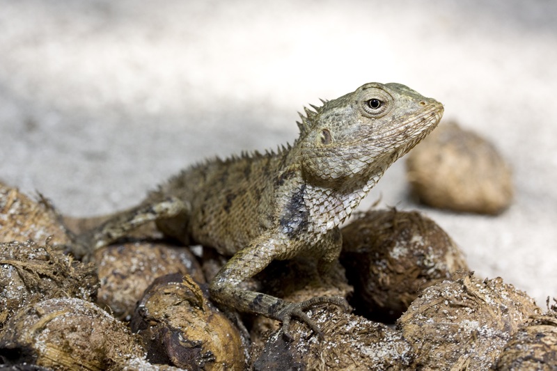 Photographer:
Juergen Stamms