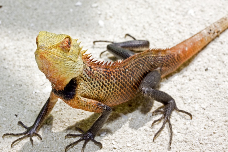 Photographer:
Juergen Stamms