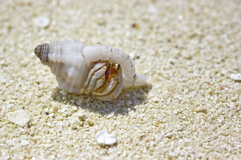 Photographer:
Juergen Stamms