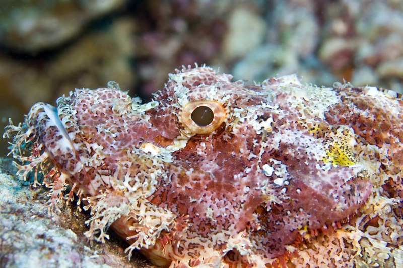 Photographer:
Juergen Stamms