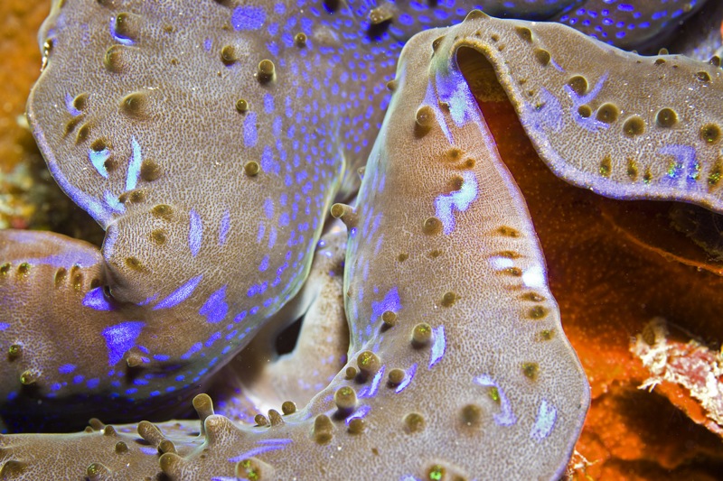 Photographer:
Juergen Stamms