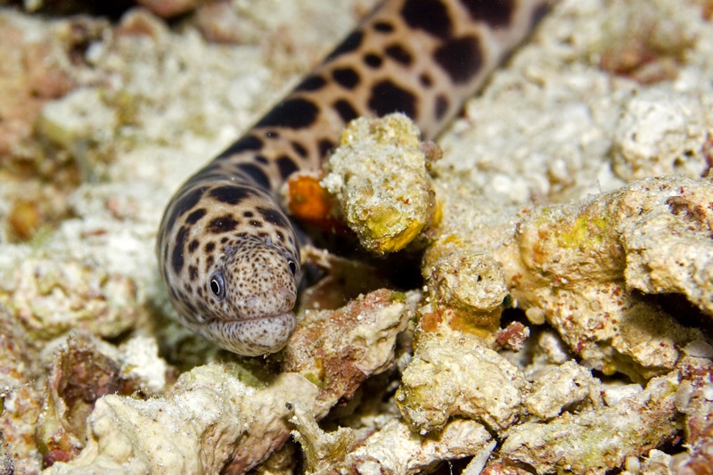 Photographer:
Juergen Stamms