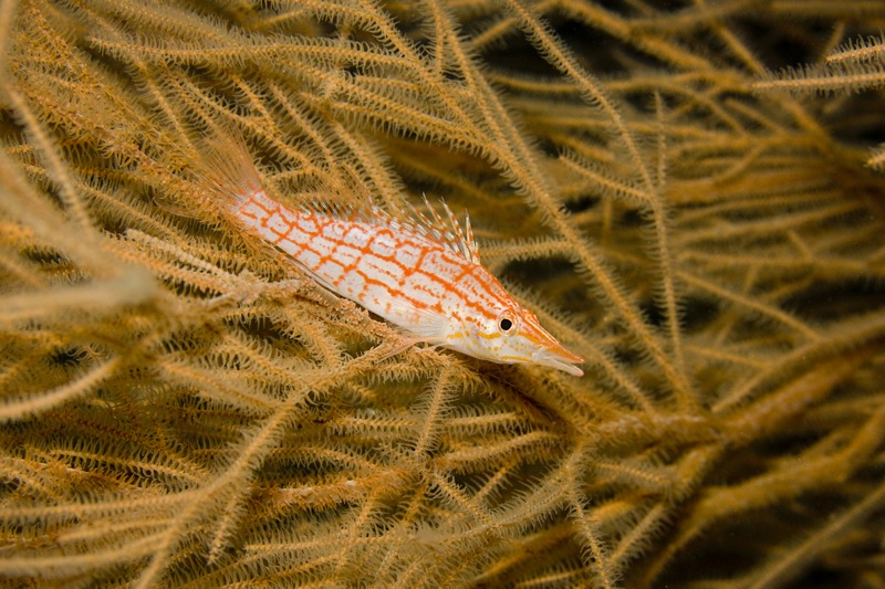 Photographer:
Juergen Stamms