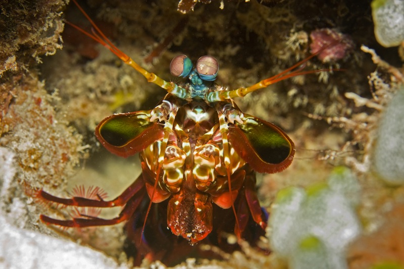 Photographer:
Juergen Stamms