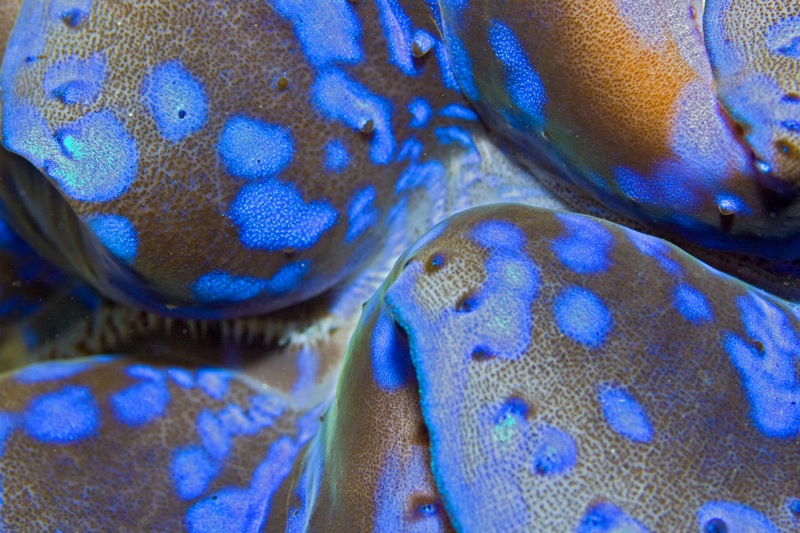 Photographer:
Juergen Stamms