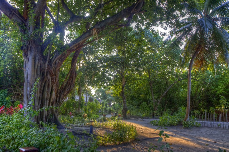 Photographer:Juergen Stamms